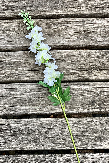 Delfinio blanco 79 cm