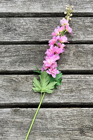 Delfinio rosa 79 cm