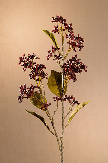 VIBURNUM SECO TINUS 58 cm burdeos