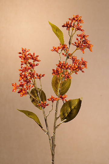 VIBURNUM SECO TINUS 58 cm naranja