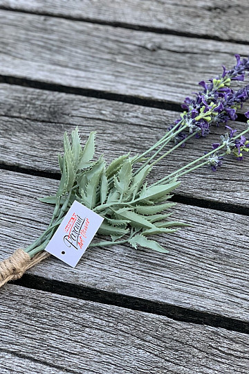 Paquete de lavanda de jardín 46 cm violeta