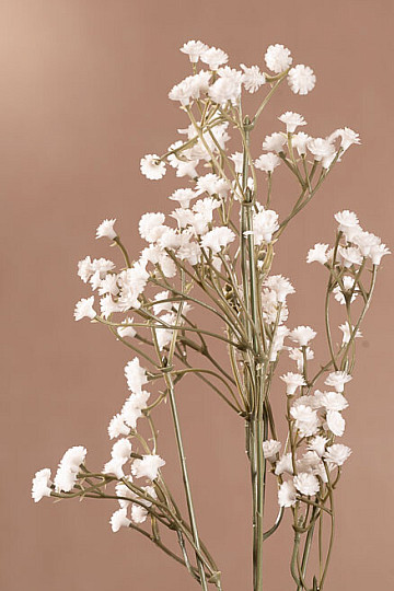 GYPSOFILA blanco