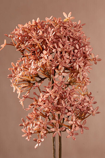 FLOR DE CORONA SECA ROSA