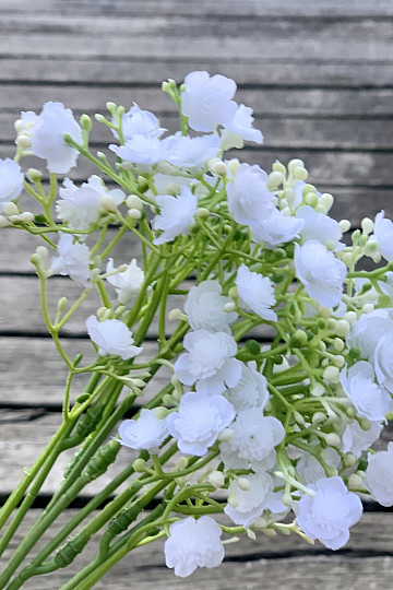 SPRAY DE YESO BLANCO