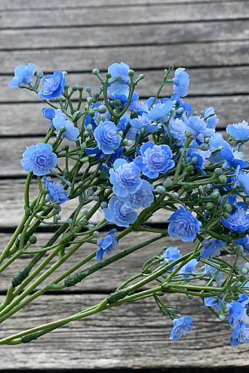 SPRAY DE YESO AZUL