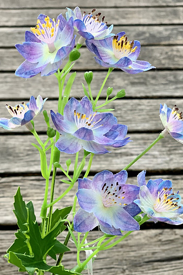 FLOR SILVESTRE AZUL