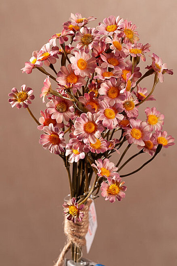 MANZANILLA ROSA