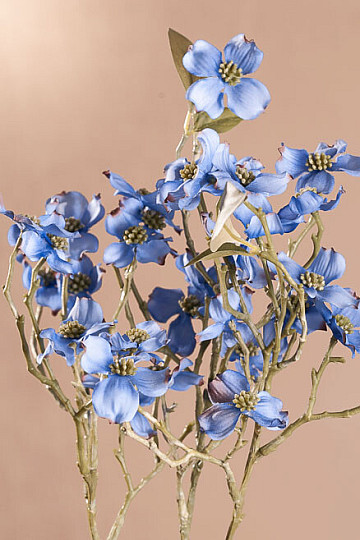 CORNEJO AZUL