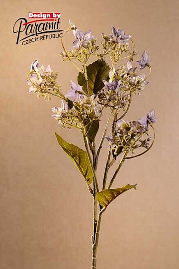 Hortensia silvestre azul