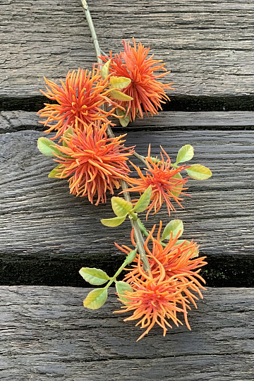NARANJA ESPESA