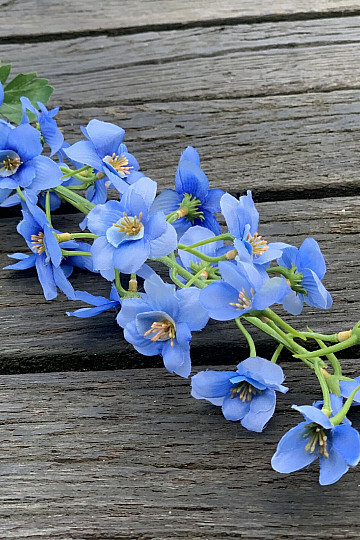 AZUL DELFINIO
