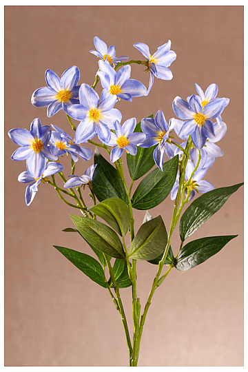 AZUL CLEMÁTICA