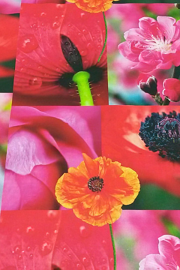 Tela decorativa JARDÍN JAPONÉS impresión digital