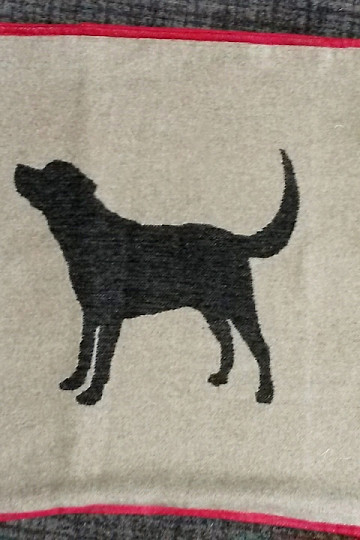 funda DF para perros LABRADOR beige