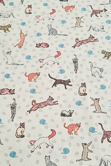 Tela decorativa GATOS