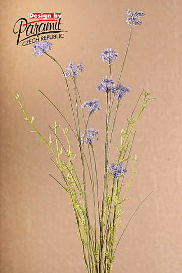 FLORES DE PRADO violeta