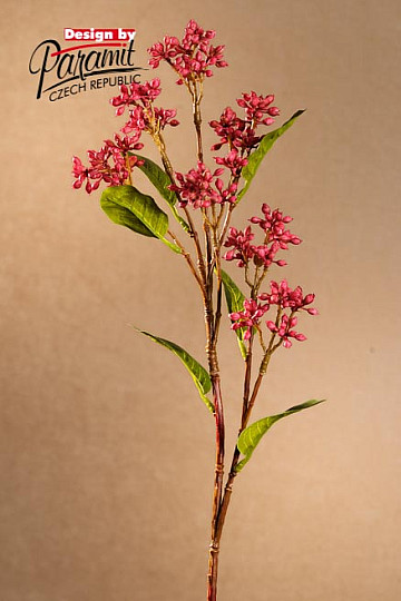 Baya de vino japonesa 63 cm
