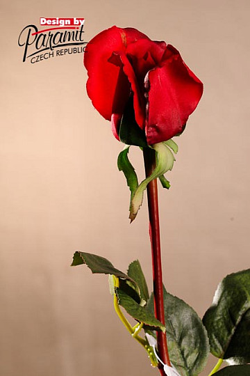 Capullo de rosa rojo 70 cm
