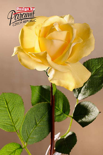Rosa amarilla 67 cm.