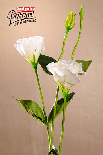Lisianthus blanco 67 cm