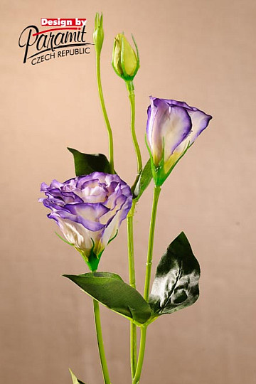 Lisianthus blanco azul 67 cm