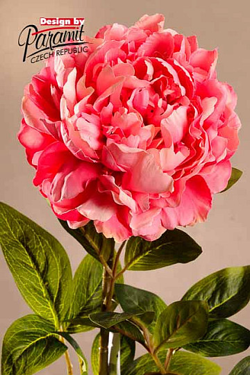 Peonía rosa 72 cm
