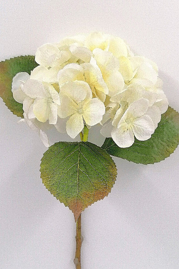 Hortensia blanca 48 cm