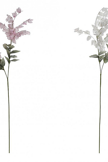 Glicina 126 cm