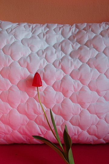 Almohada acolchada - bolas - 70x90 cm sin cremallera