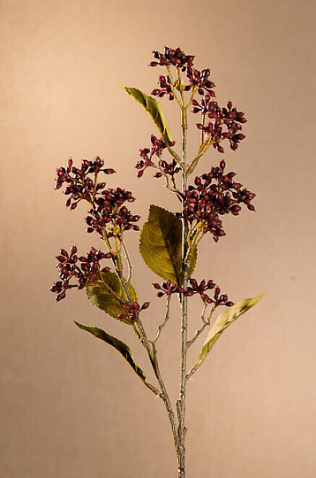 VIBURNUM SECO TINUS 58 cm burdeos