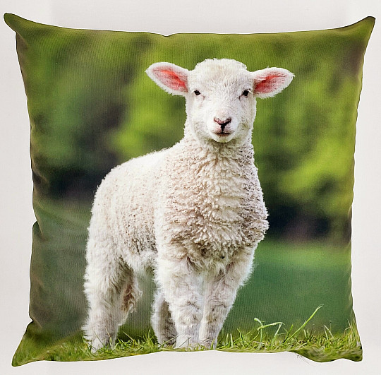 Funda de almohada decorativa OVEJA