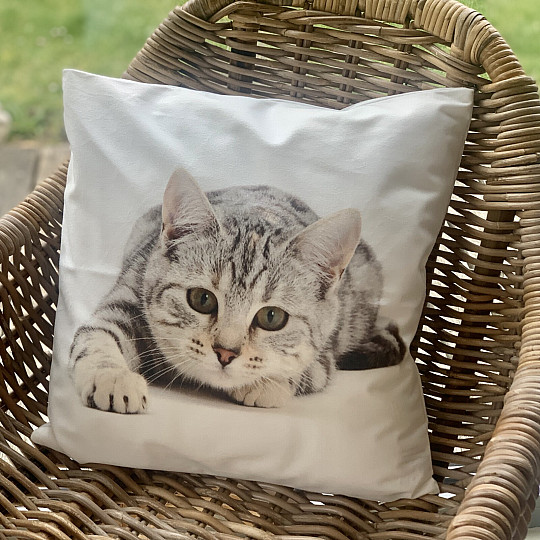 Funda de cojín decorativa GATO MENTIDO