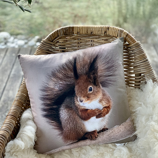 Funda de almohada decorativa LA ARDILLA OXIDO