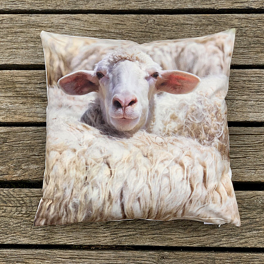 Funda de almohada OVEJA