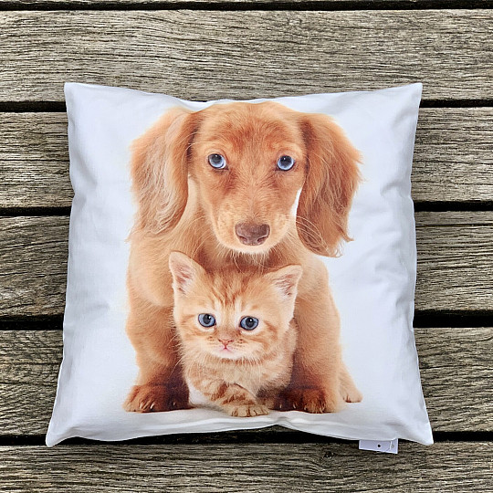 Funda de almohada PERRO Y GATO