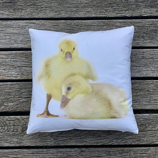 Funda de almohada decorativa GOOSE