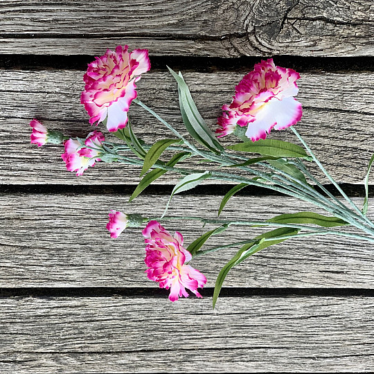 CLAVEL rosa y blanco