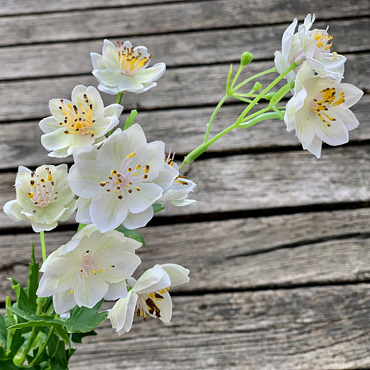 FLOR SILVESTRE BLANCA