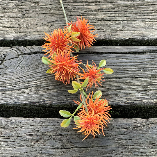 NARANJA ESPESA
