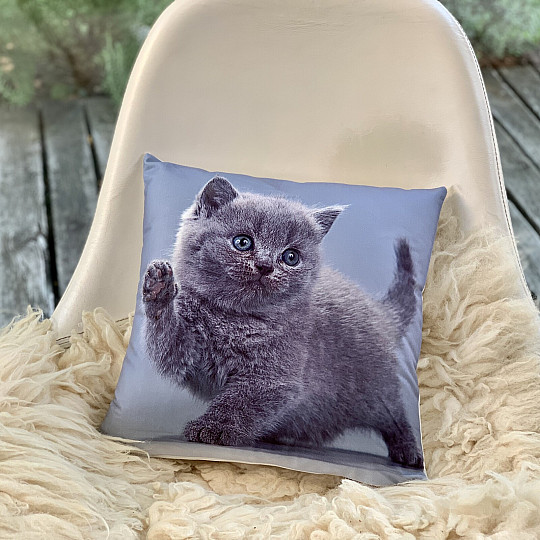 Funda decorativa KITTY