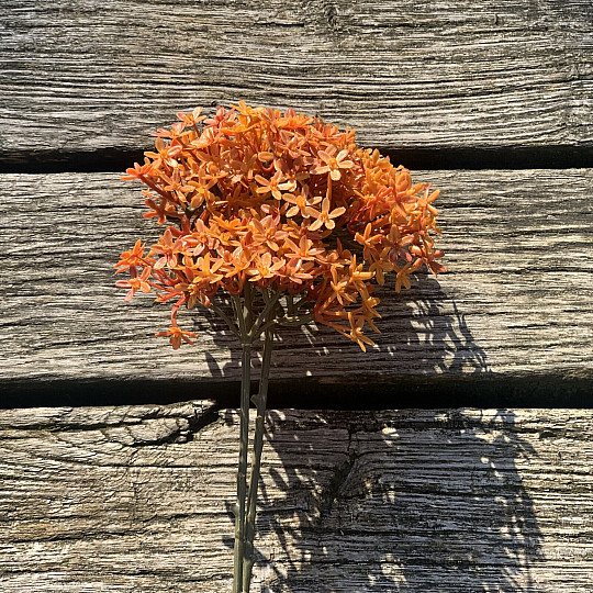FLOR DE CORONA SECA DE NARANJA