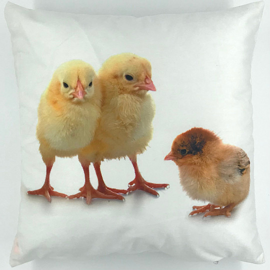 Funda de almohada decorativa POLLO