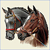 Cojines decorativos ANIMALES