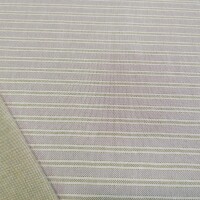 Tela decorativa Rayas iris - verde 66