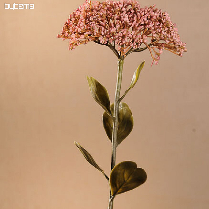 SEDUM SECO DE FLORACIÓN PLENA 46 cm rosa viejo