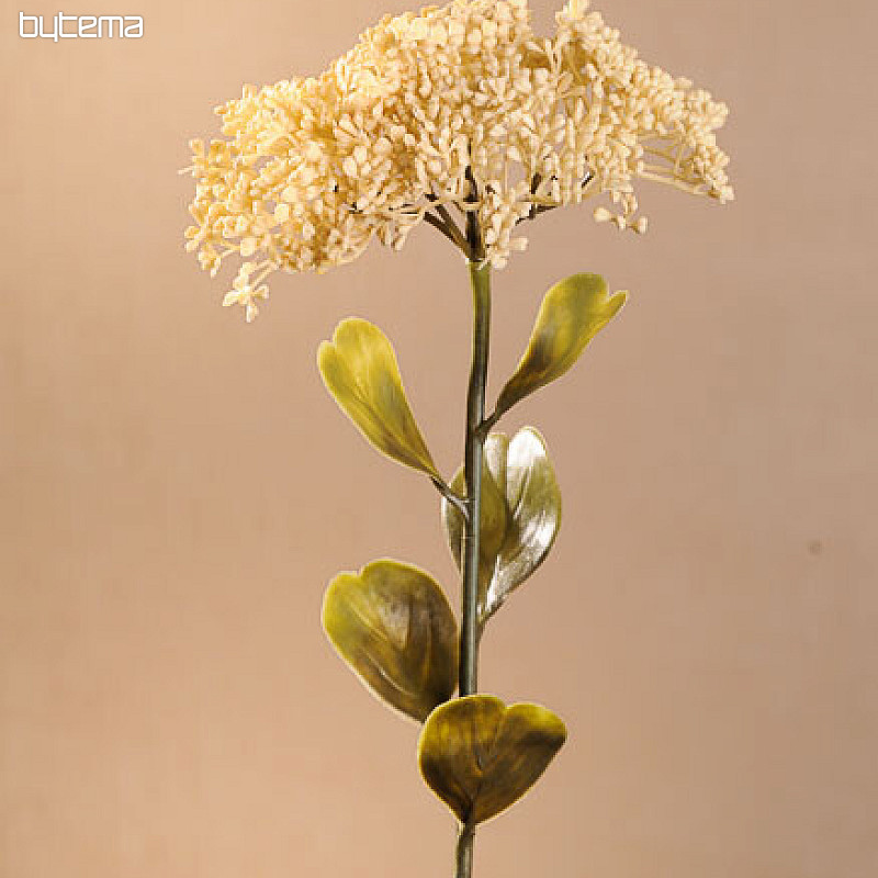 SEDUM SECO DE FLORACIÓN PLENA 46 cm blanco