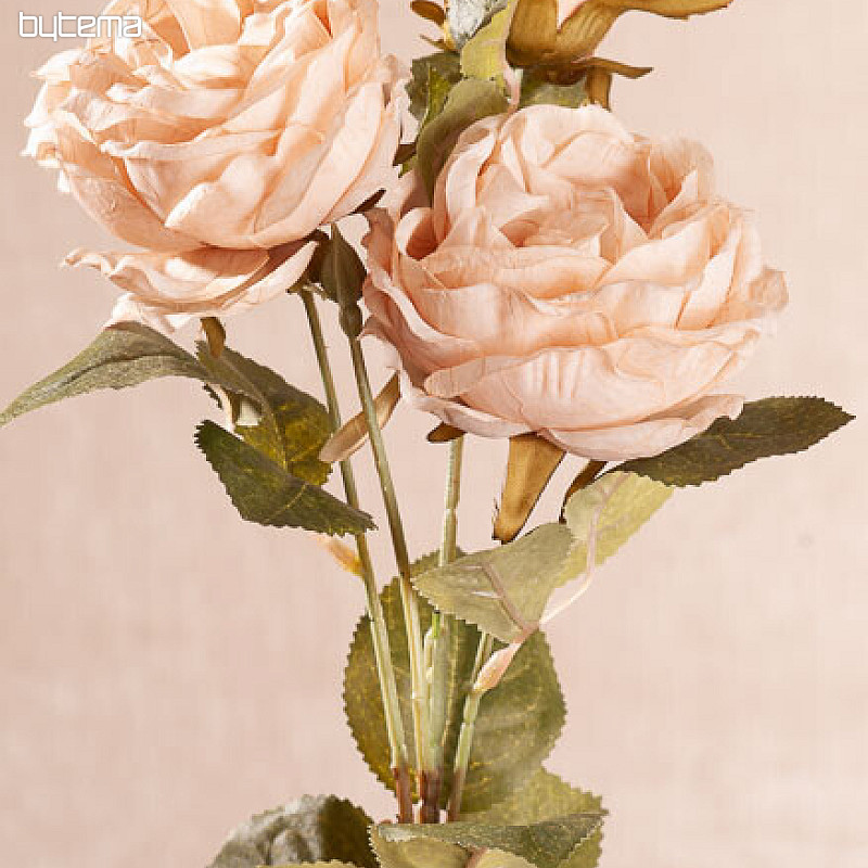 COL ROSA Cremosa