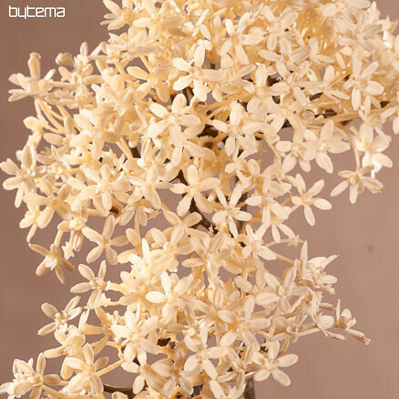 FLOR DE CORONA SECA BLANCA