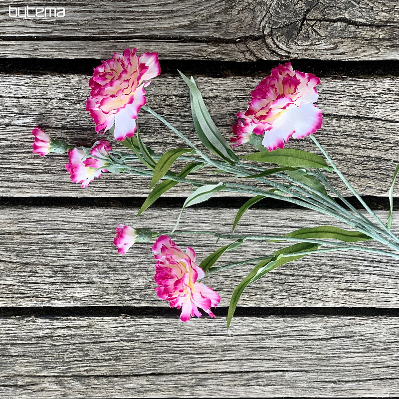 CLAVEL rosa y blanco
