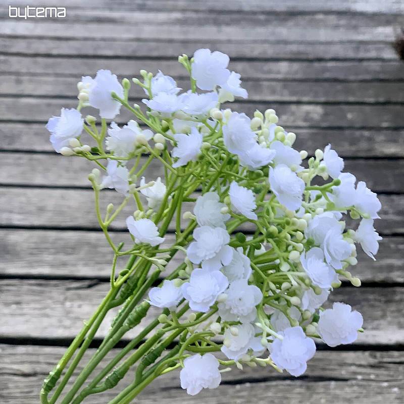 SPRAY DE YESO BLANCO